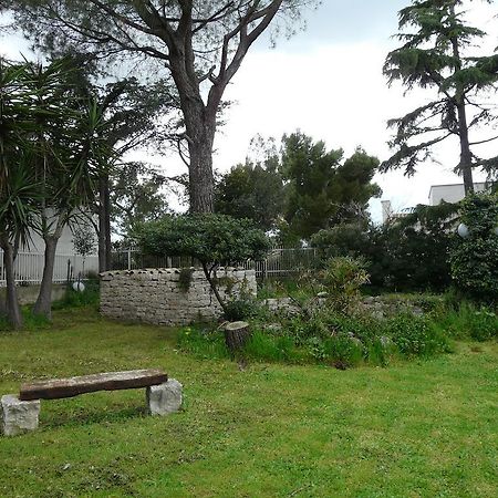 B&B Villa Garden Bisceglie Kültér fotó