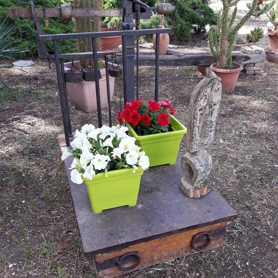B&B Villa Garden Bisceglie Kültér fotó